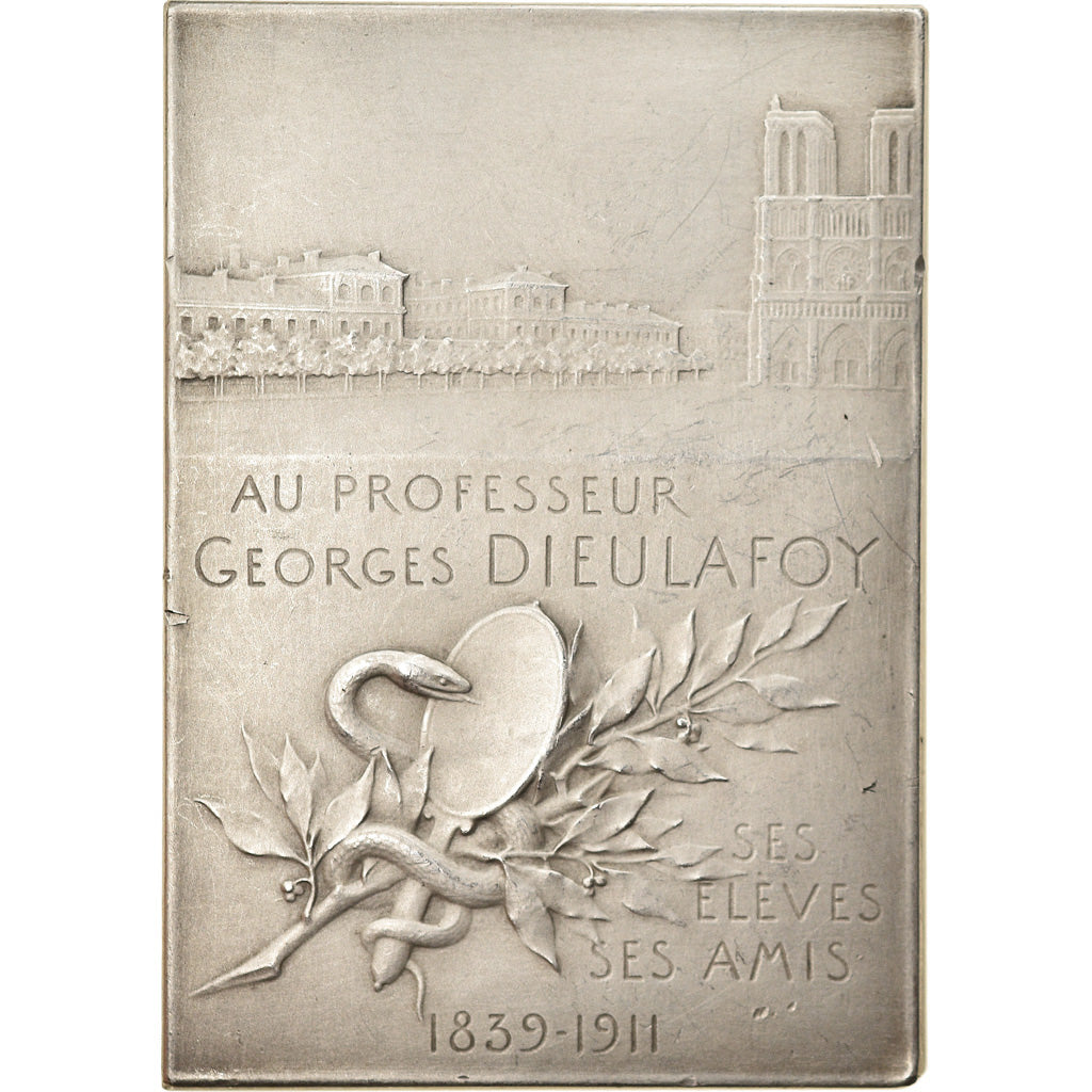 Francja, Medal, Professeur Georges Dieulafoy, Paris, Medycyna, 1911, Vernon
