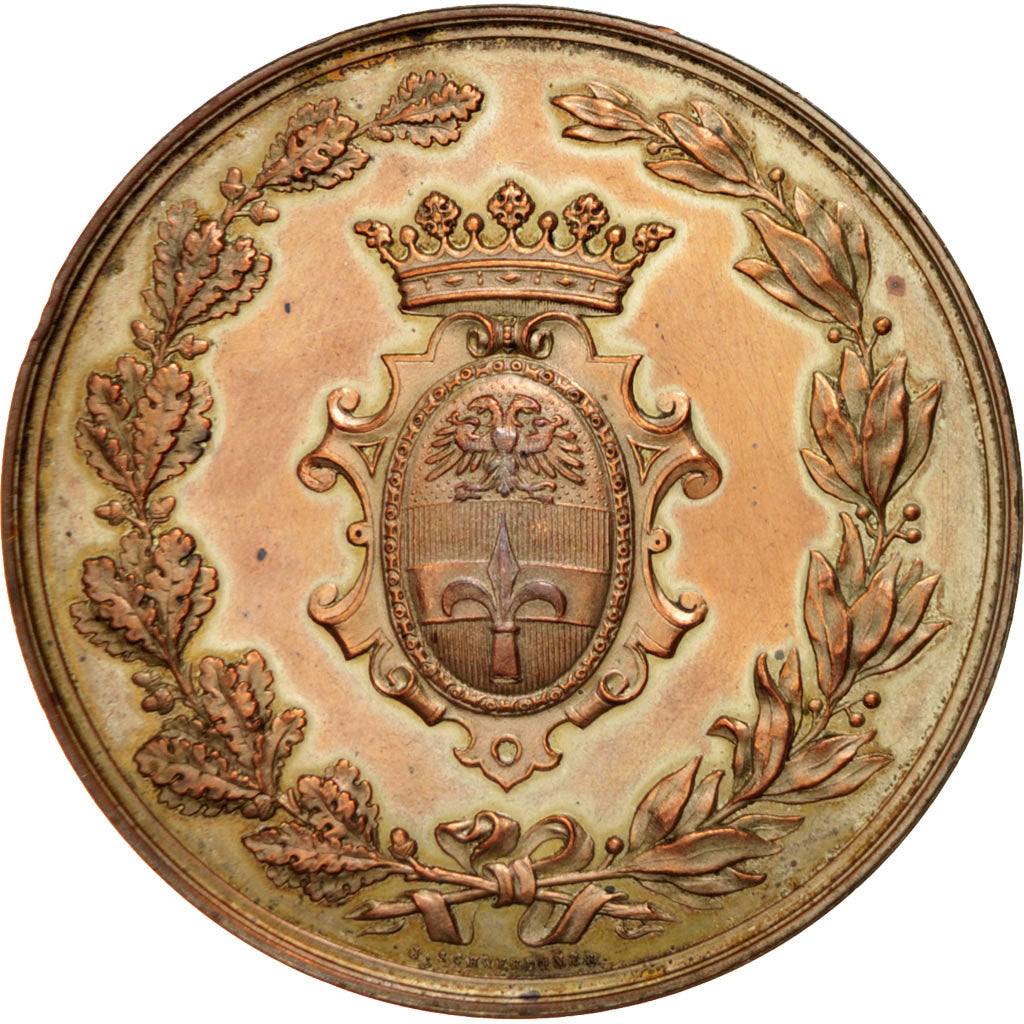 Italy, Trieste, Medal, 1882, AU(50-53), Bronze, 60mm