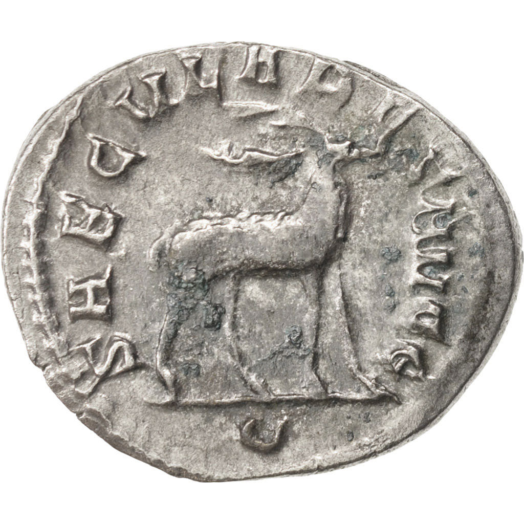 Philip I, Antoninianus, 248, Roma, AU(50-53), Billon, RIC:19