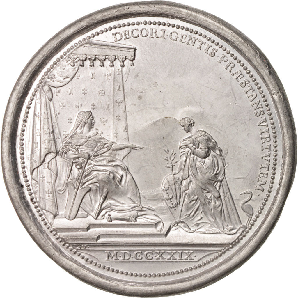 France, Medal, History, 1729, SUP, Tin