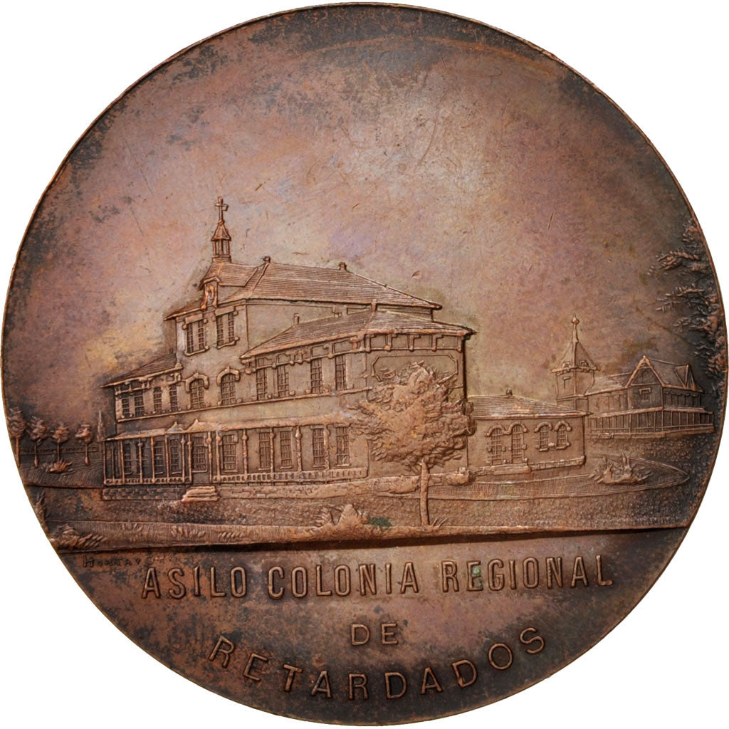 Argentinië, Medal, 1908, ZF+, Bronze