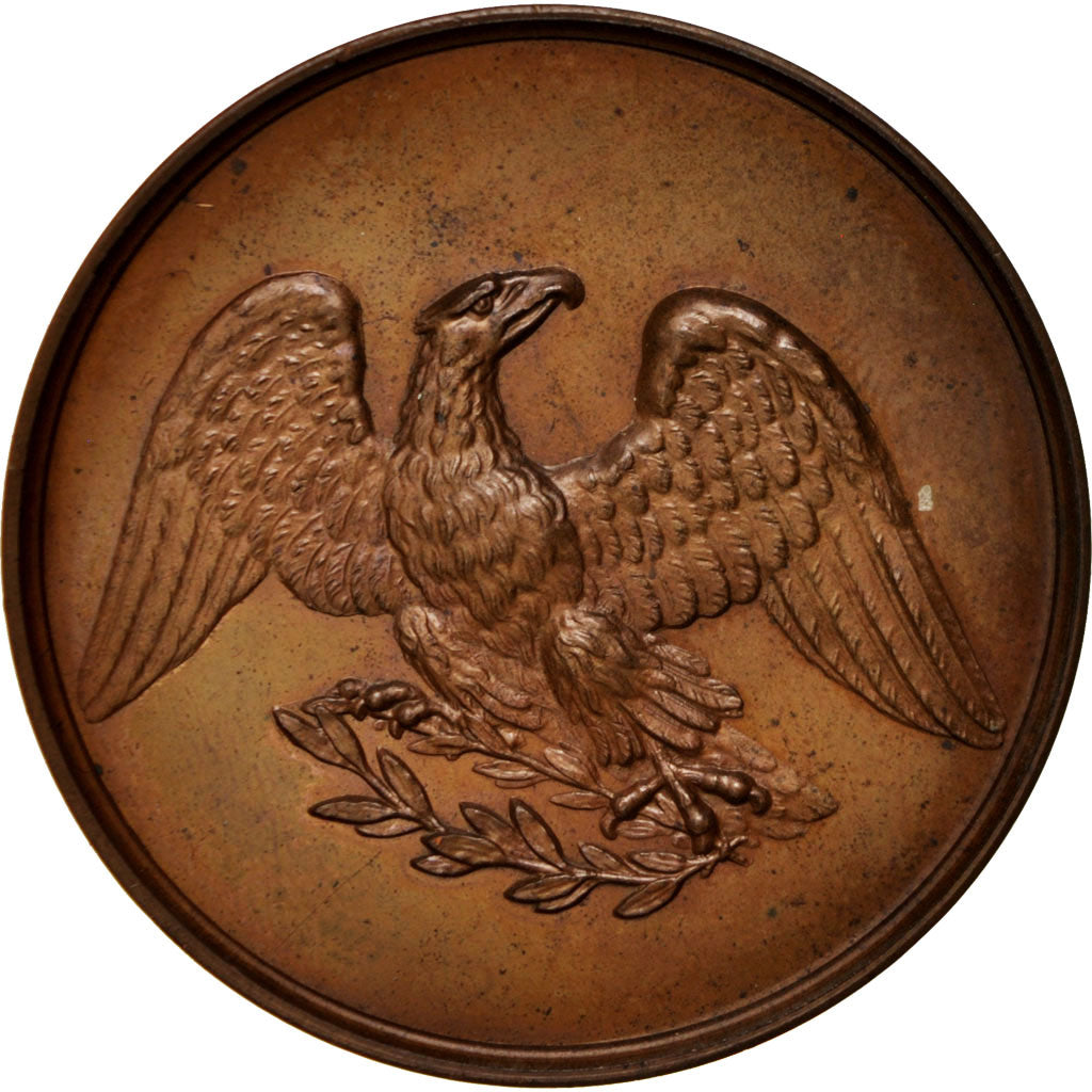 France, Goethe, Arts & Culture, Medal, 1832, MS(60-62), Copper, 41mm