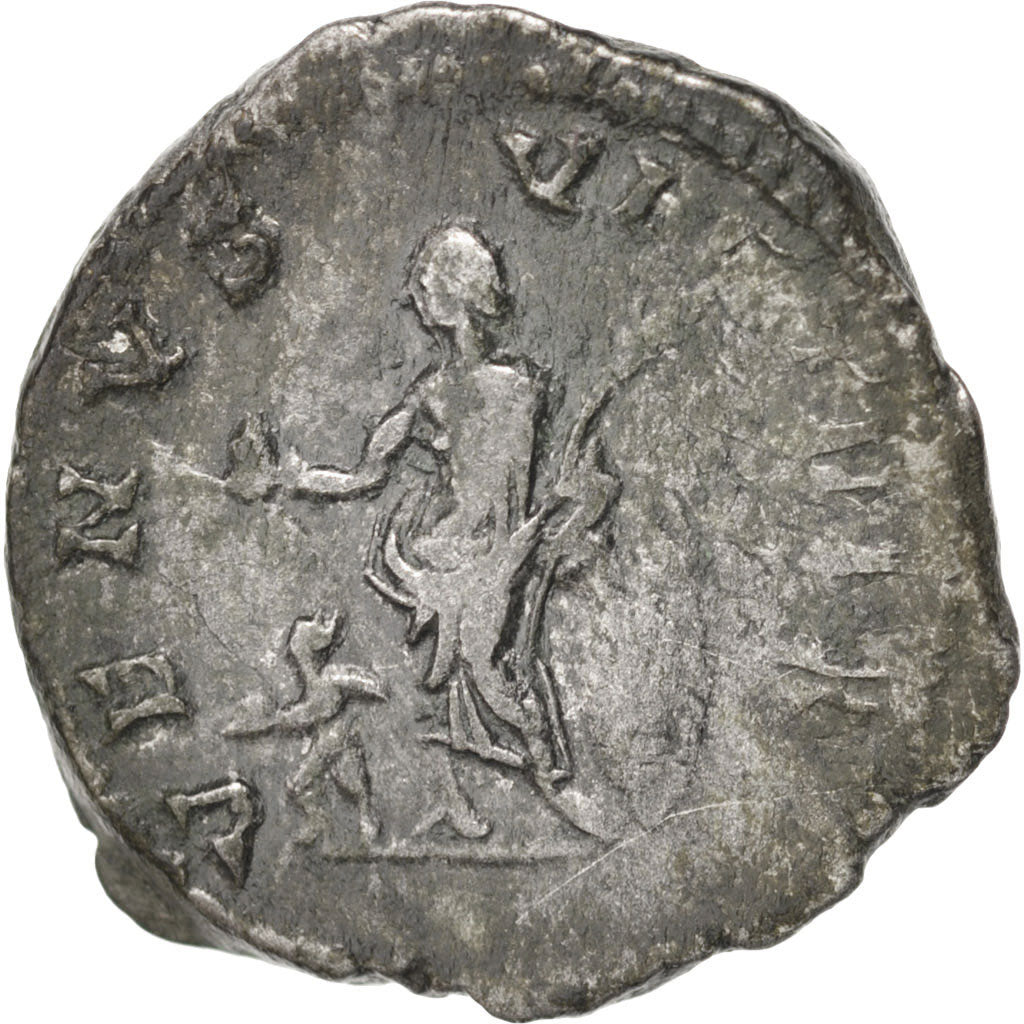 Coin, Plautilla, Denarius, 204, Roma, EF(40-45), Silver, RIC:369