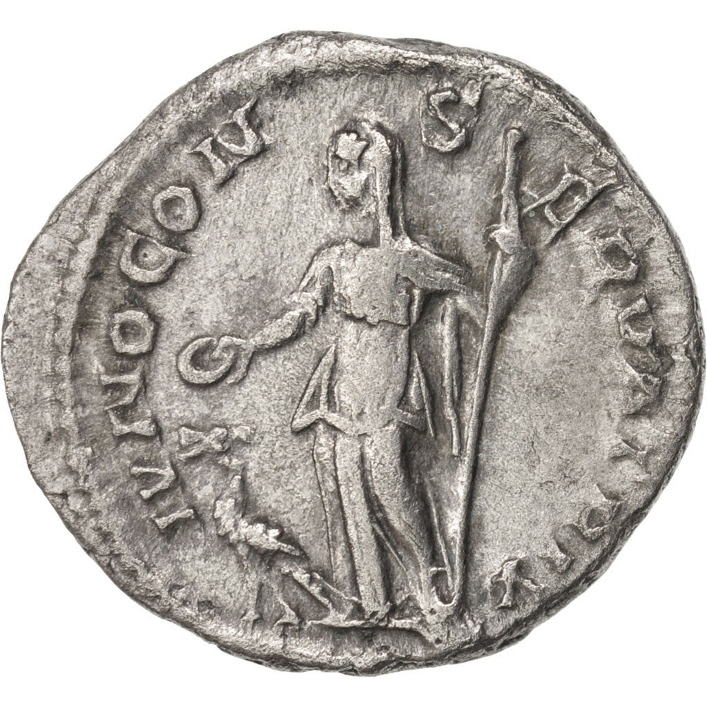 Coin, Julia Mamaea, Denarius, 222, Roma, EF(40-45), Silver, RIC:343