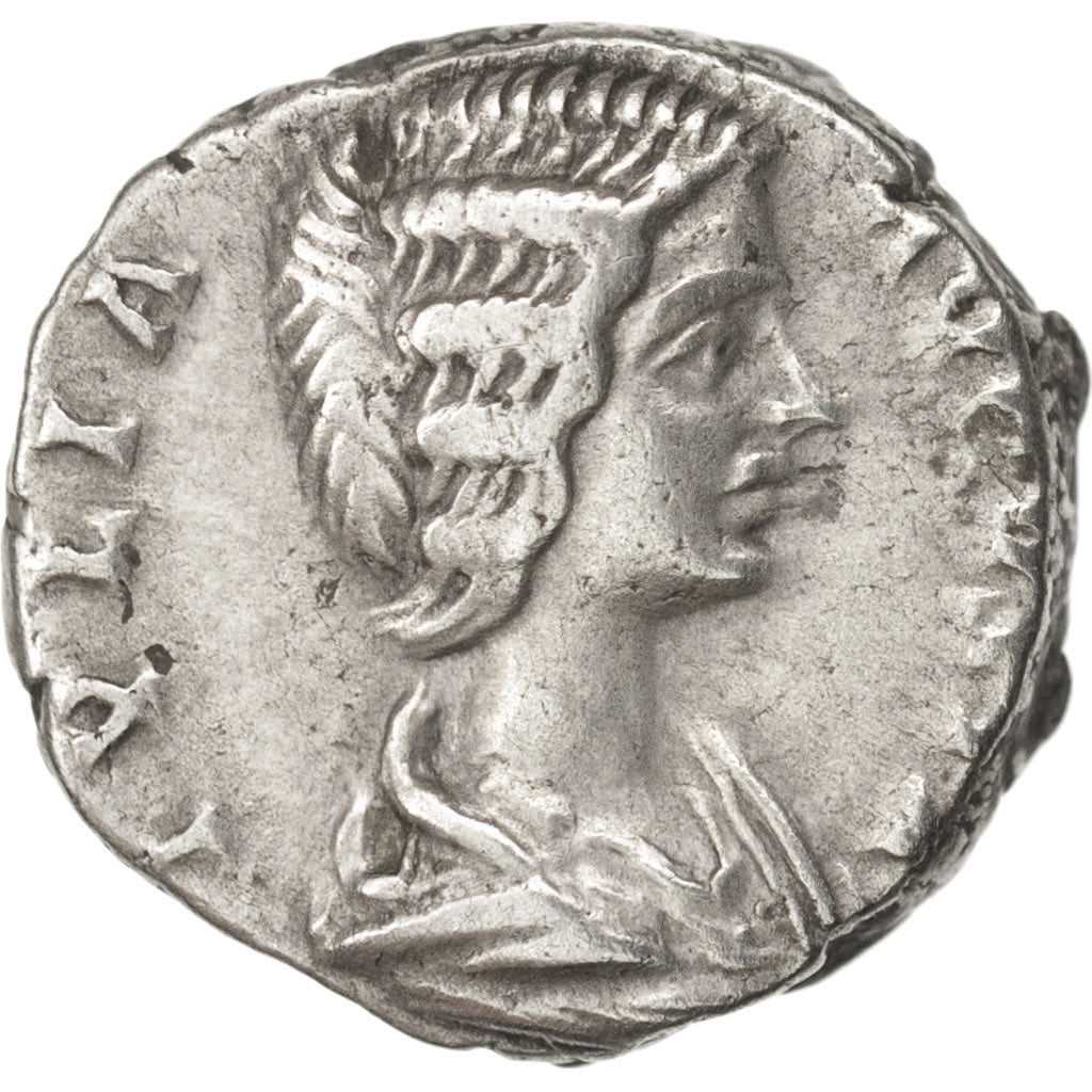 Julia Domna, Denarius, 202, Roma, VF(30-35), Silver, RIC:556