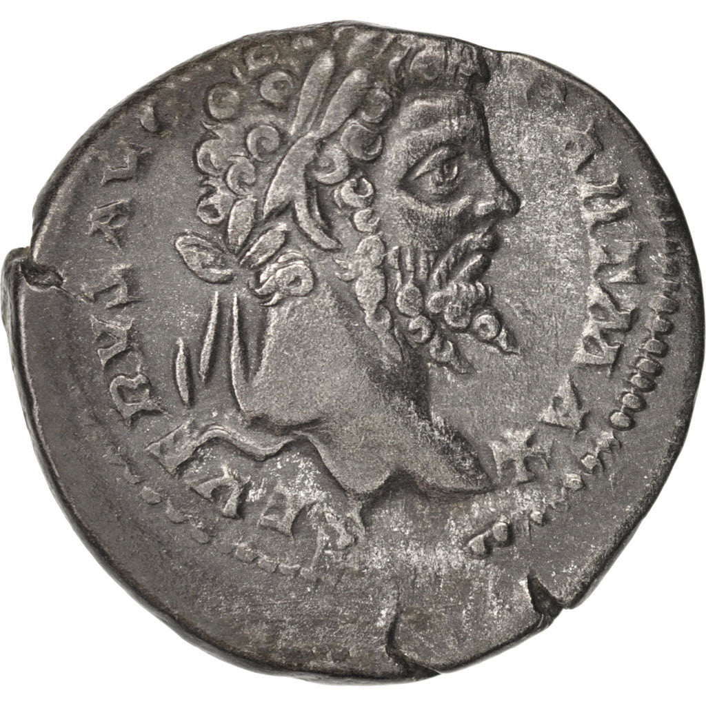 Septimius Severus, Denarius, 201, Roma, EF(40-45), Silver, RIC:167a