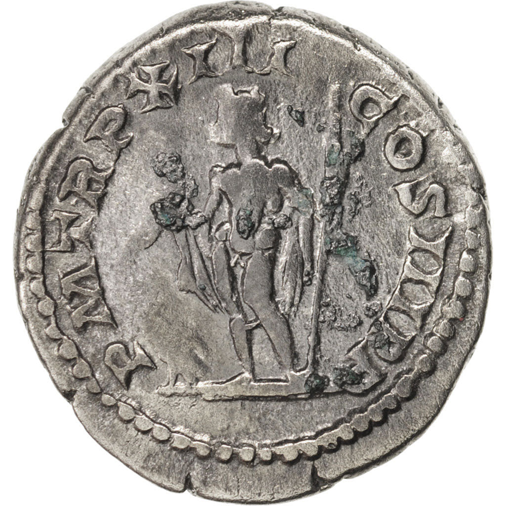 Septimius Severus, Denarius, 205, Roma, AU(50-53), Silver, RIC:196
