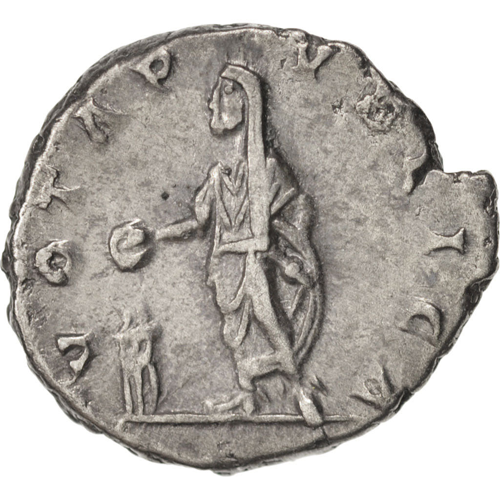 Coin, Septimius Severus, Denarius, 207, Roma, AU(50-53), Silver, RIC:308