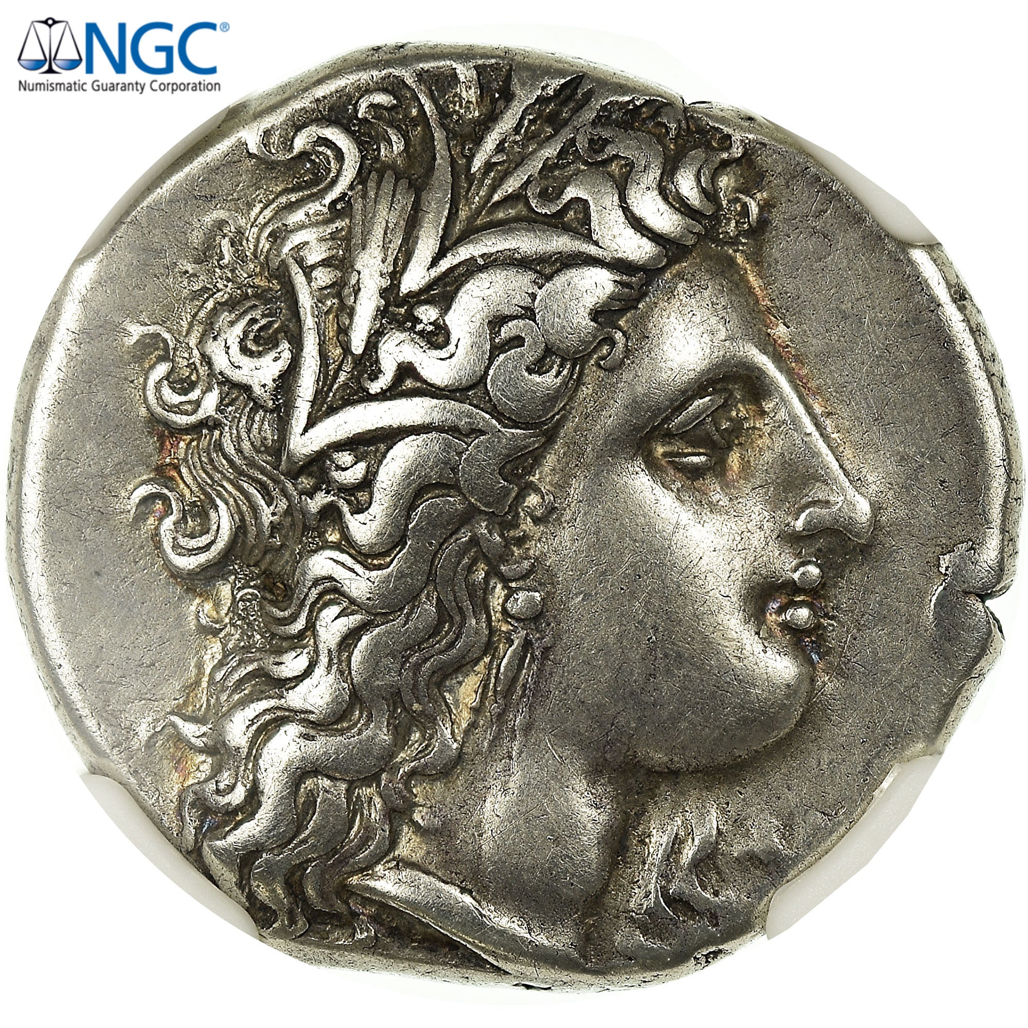 Coin, Metapontion, Didrachm, 330-280, Metapontion, graded, NGC, Ch VF Strike