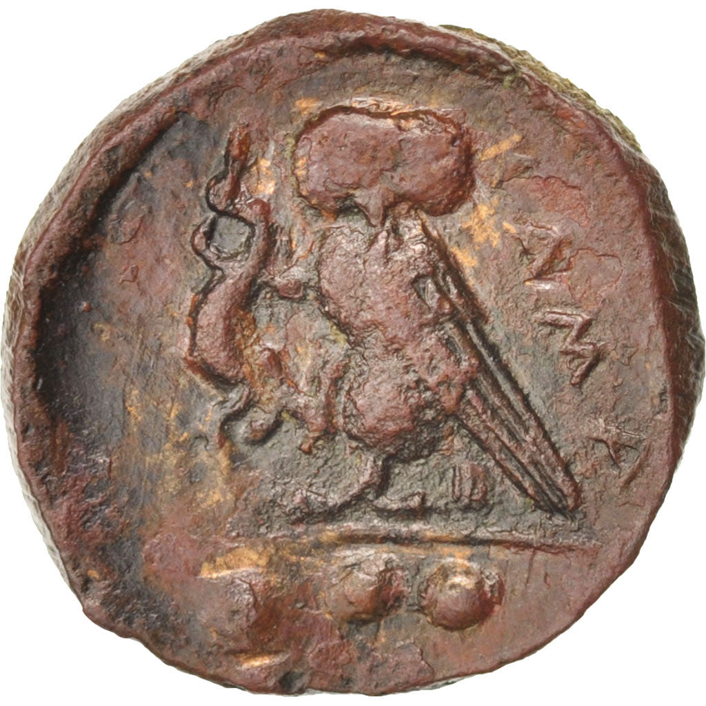 Coin, Sicily, Kamarina, Tetras, 420-405, Kamarina, AU(50-53), Bronze