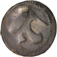 Coin, Kingdom of Macedonia, Bronze, 319-297, VF(30-35), Bronze