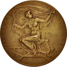 Belgium, Liege World Exhibition, Sciences & Technologies, Medal, 1905