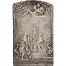 France, Medal, Société Lyonnaise des eaux et de l'éclairage, Politics