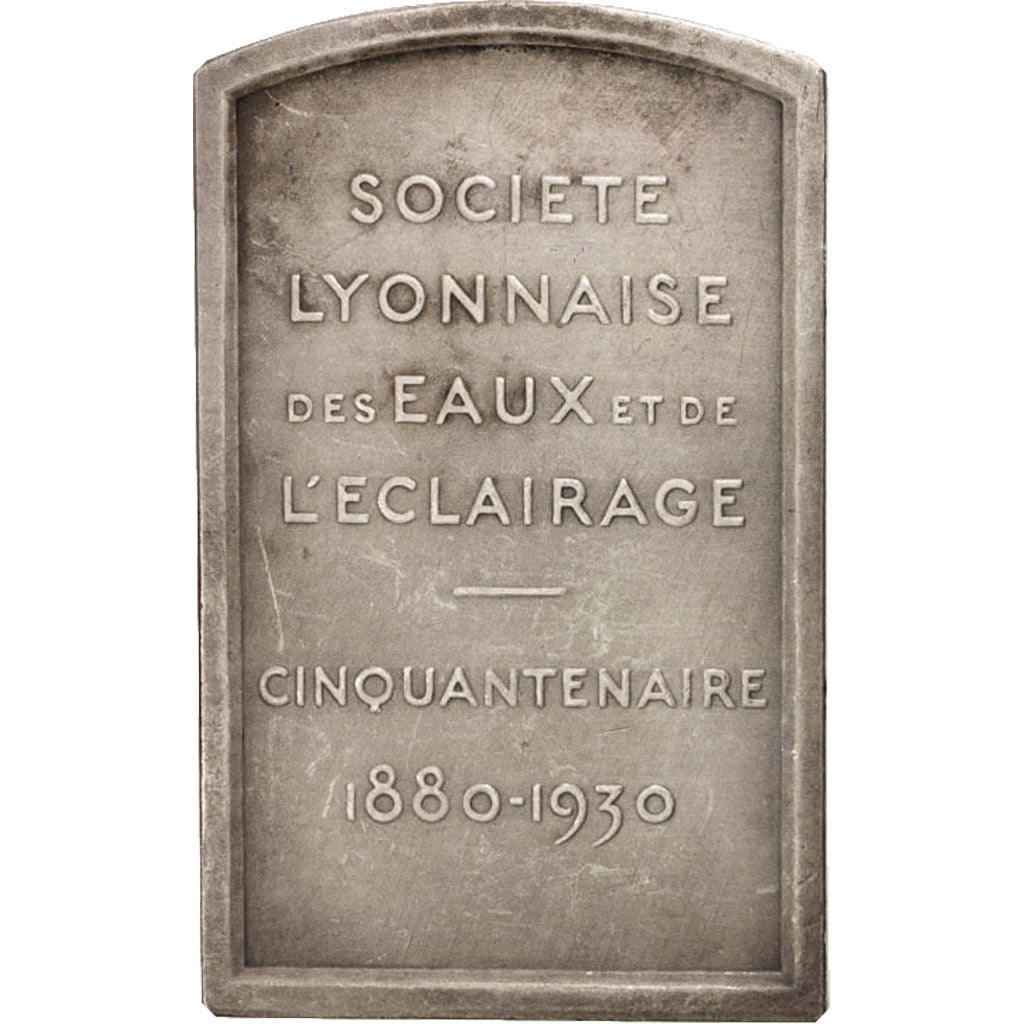 France, Medal, Société Lyonnaise des eaux et de l'éclairage, Politics