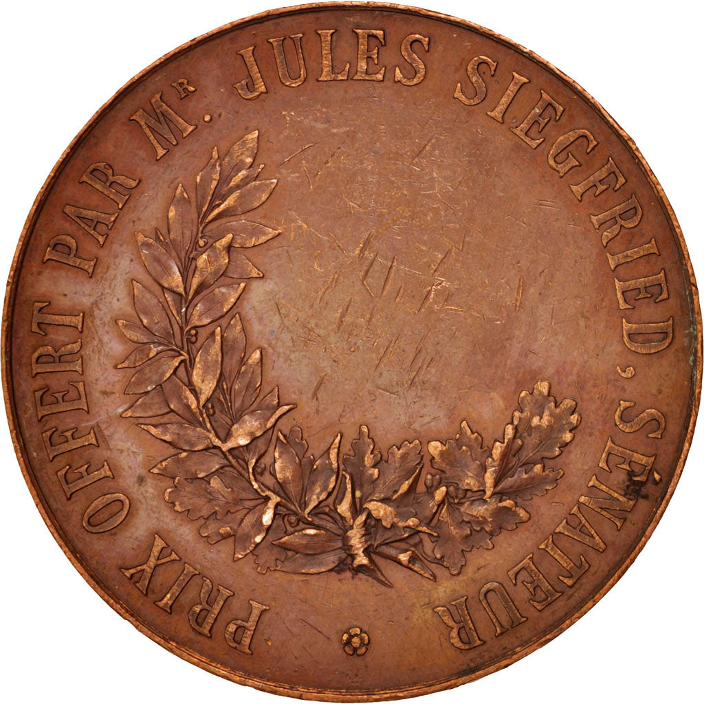 France, Ville du Havre, Jules Siegfried senator, Politics, Society, War, Meda...