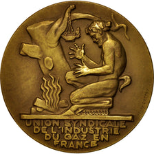 France, Medal, Union Syndicale de l'Industrie du gaz en France, Business &