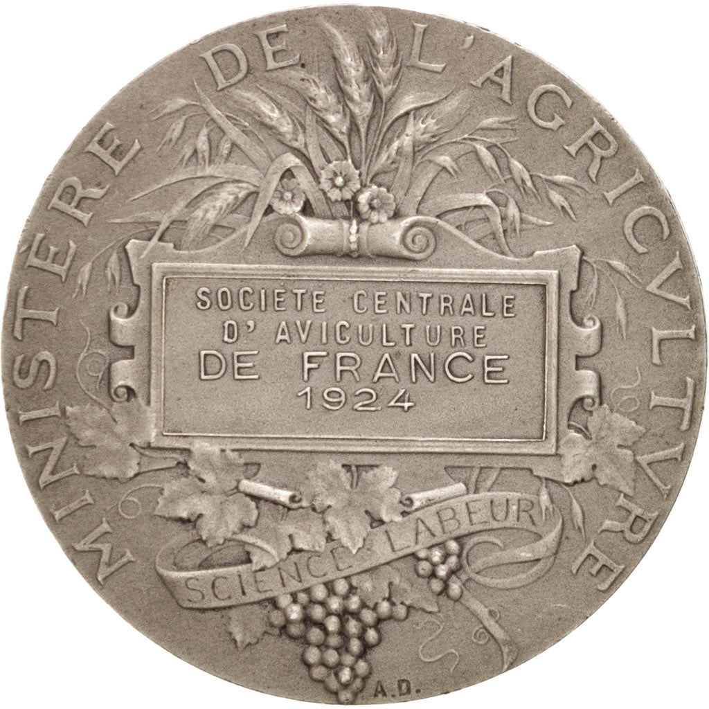 France, Medal, Agriculture Ministery, Business & industry, 1924, Dubois.A, SUP