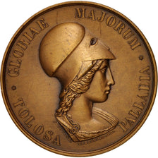 France, South of France archeological society, Arts & Culture, Medal