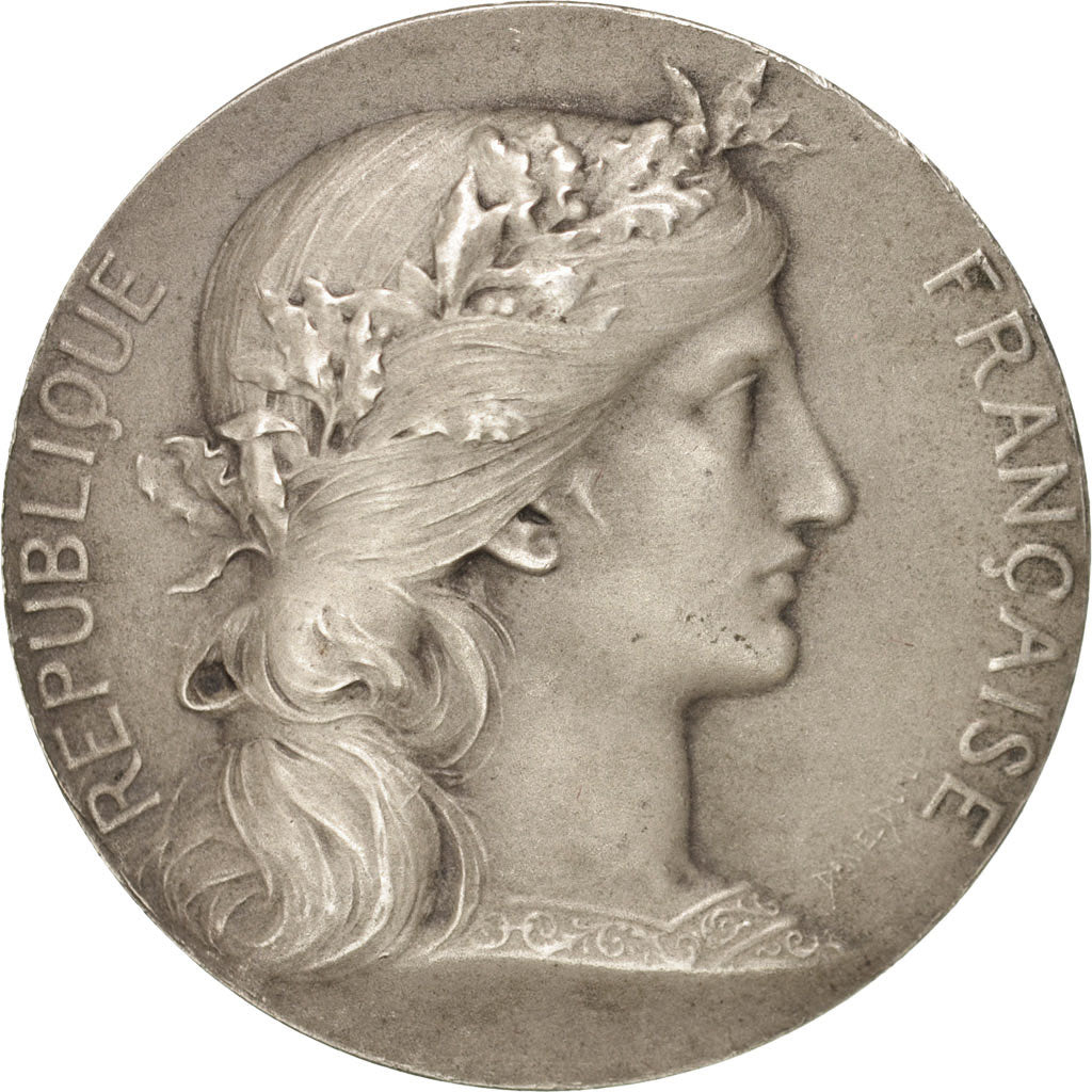 France, Département de la Marne, Politics, Society, War, Medal, TTB+, Dupuis...