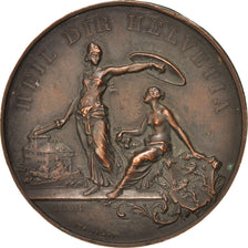 Switzerland, Shooting medal, History, Medal, 1890, EF(40-45), Bovy, Bronze, 45