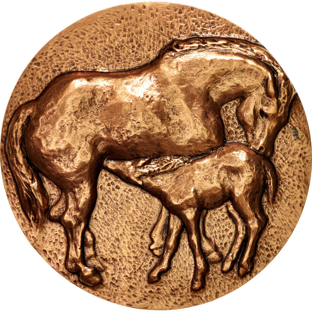 Francia, Medal, Horse, Fauna, 1975, Luzanowsky, SC, Bronce