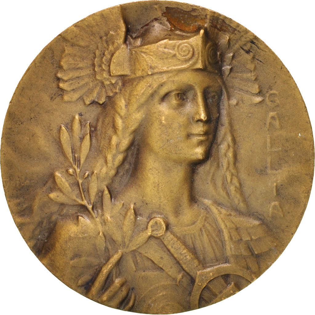 Francia, Medal, Gallia, Politics, Society, War, SPL-, Bronzo, 26