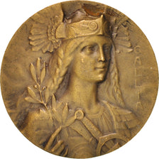 Francia, Medal, Gallia, Politics, Society, War, SPL-, Bronzo, 26