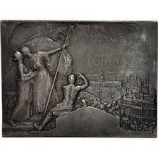 France, Medal, 1911 Turin International Exhibition, 1911, Silvered bronze