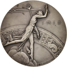 France, T.S.F., Edouard Belin, Arts & Culture, Medal, 1953, AU(55-58), Damman