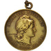 France, Métal du Palais des Tuileries, History, Medal, 1883, AU(50-53), Tasset