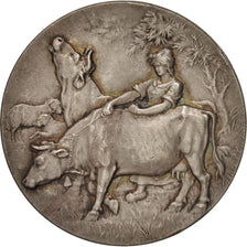 France, Société d'agriculture, sciences et arts de Valenciennes, Sciences