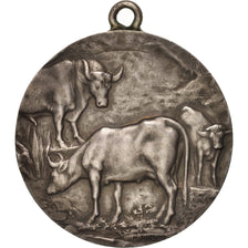 France, Concours spécial de la race bovine bleue du nord à Cambrai, Busines...