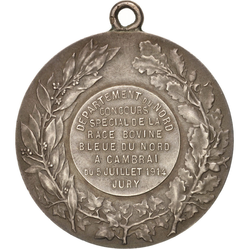 France, Concours spécial de la race bovine bleue du nord à Cambrai, Busines...