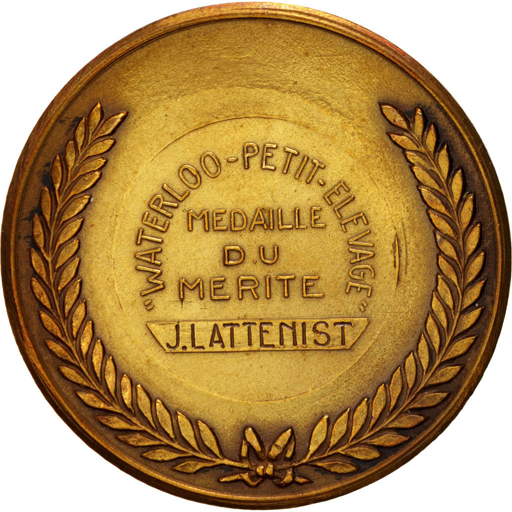 Belgium, Medal, Waterloo, petit élevage, Médaille du mérite, Business &