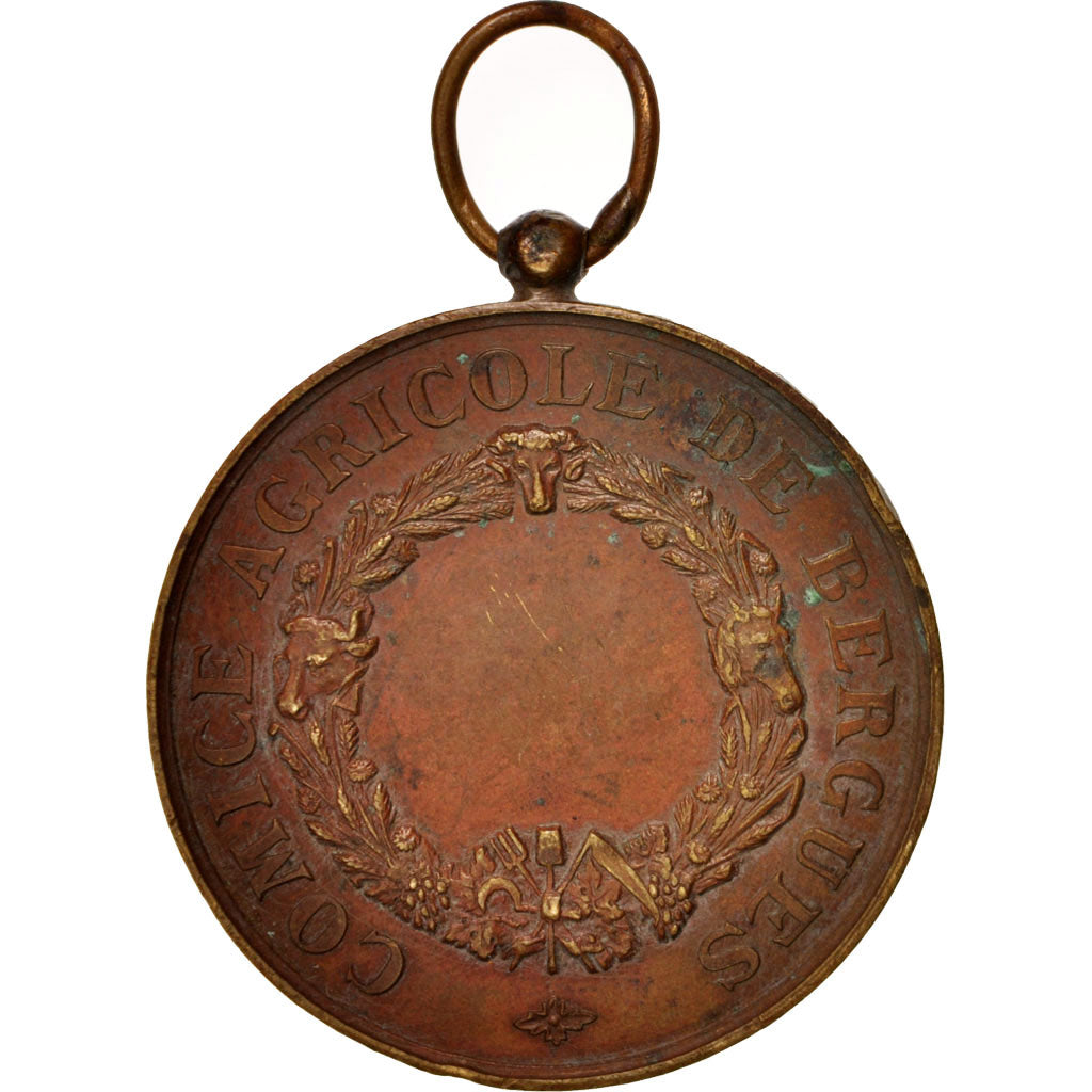 France, Comice agricole de Bergues, Business & industry, Medal, Non Applicabl...