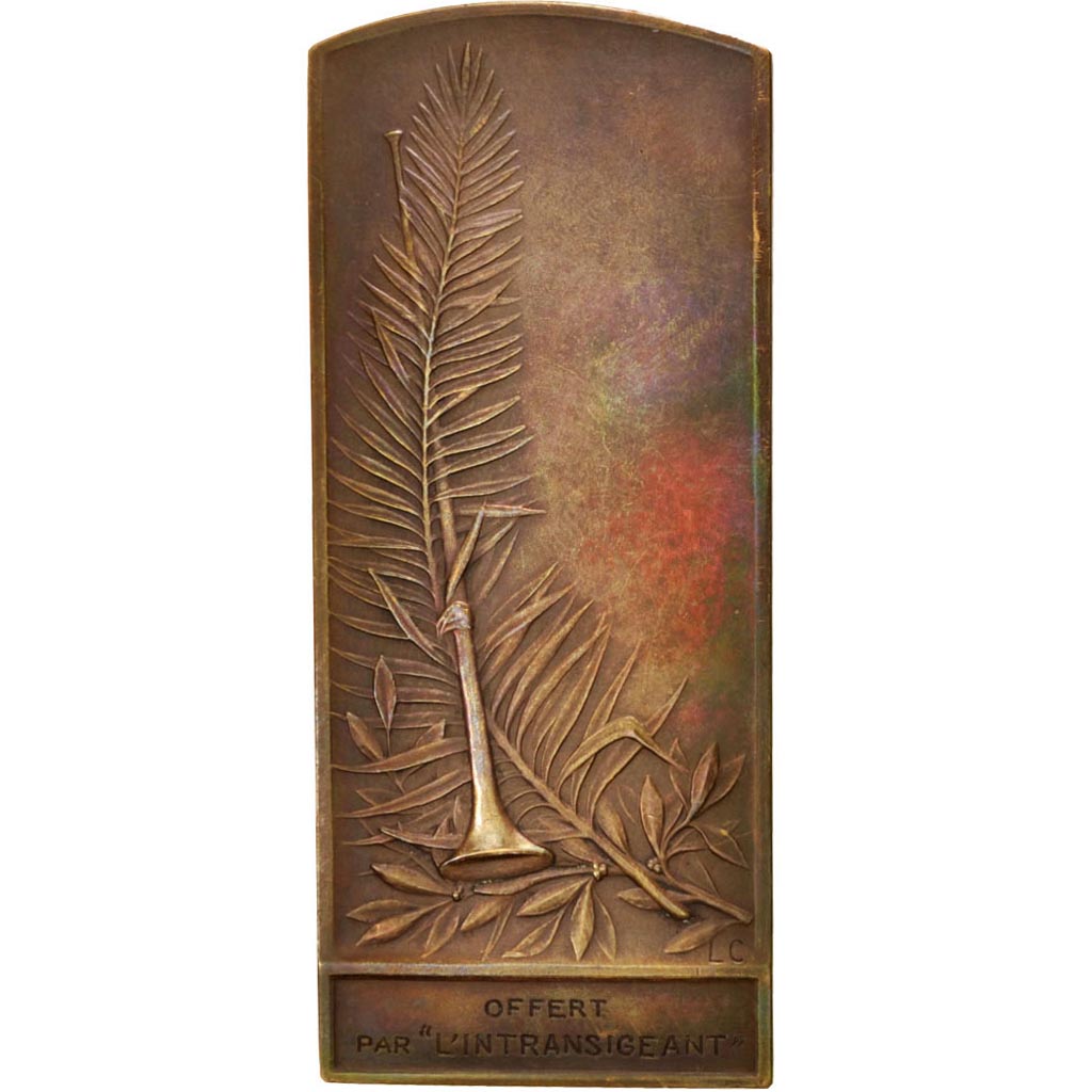 France, Medal, Victoire par Cariat, Politics, Society, War, Cariat, AU(50-53)