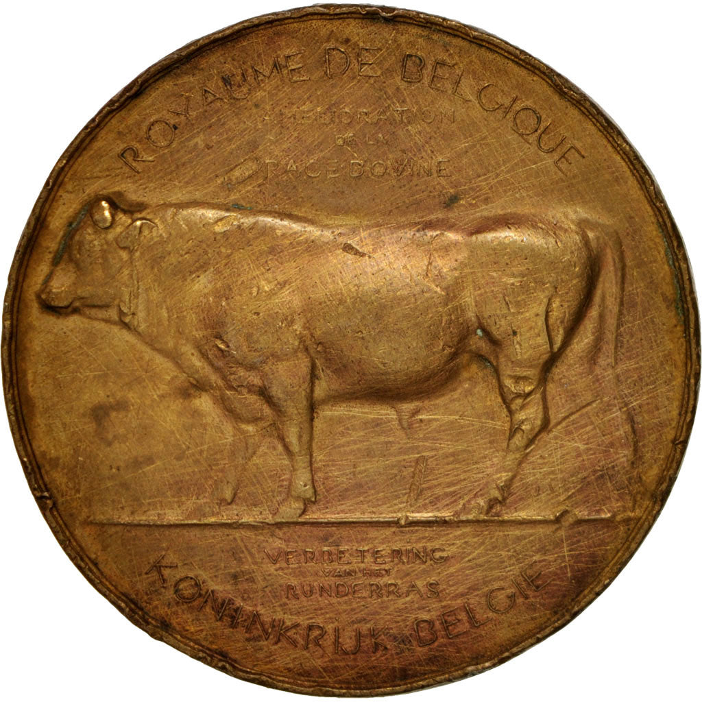 Belgium, Medal, Royaume de Belgique, Hainaut, Concours de Canton de 1911