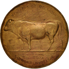 Belgium, Medal, Royaume de Belgique, Hainaut, Concours de Canton de 1911