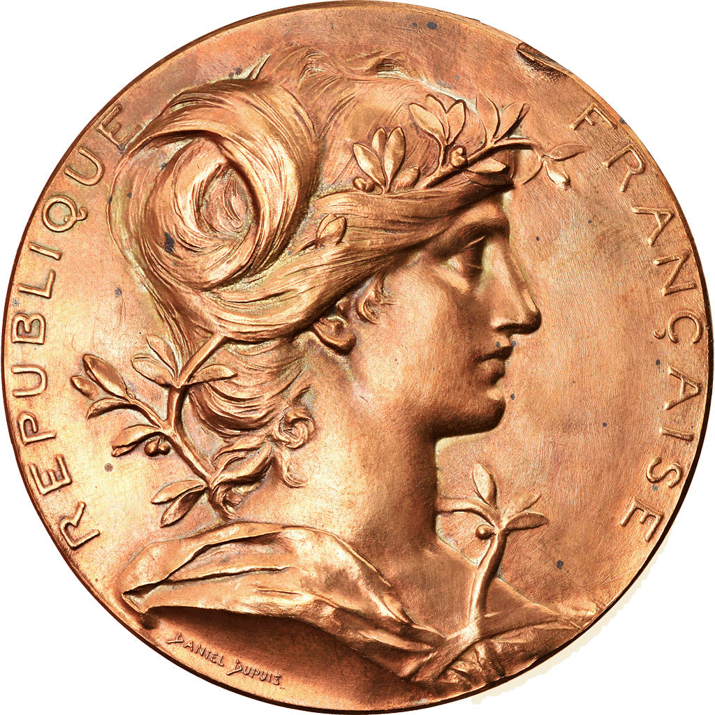 France, Medal, Exposition universelle de Paris, 1889, Dupuis.D, AU(50-53)