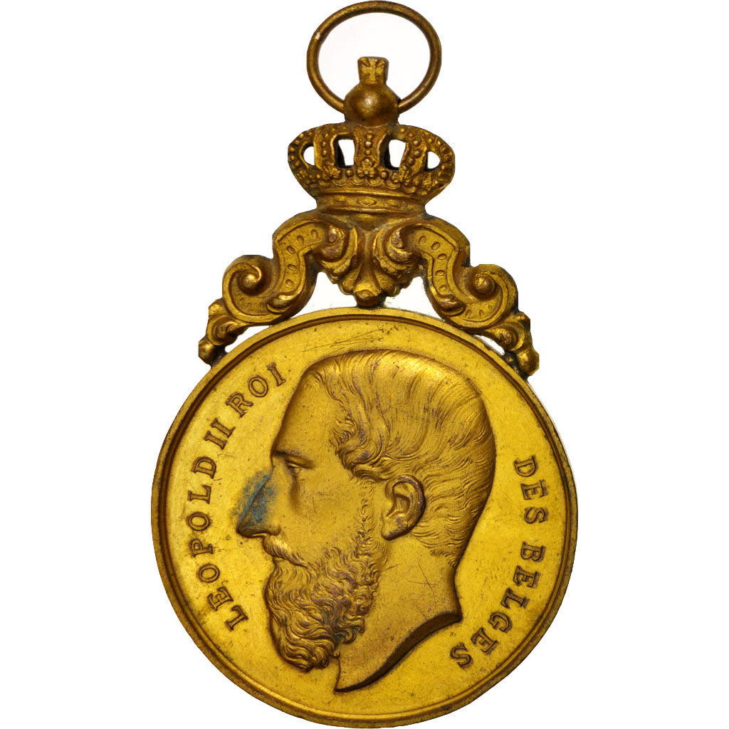 Belgique, Medal, Ville de Braine le Comte, Festival du 13 septembre 1891, Arts &