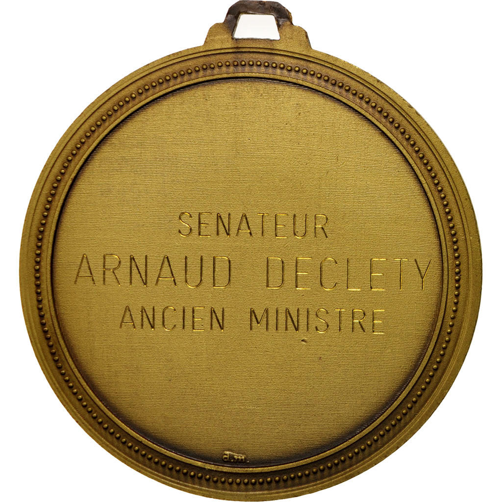Belgium, Medal, Sénateur Arnaud Declety, Ancien Ministre, Politics, Society