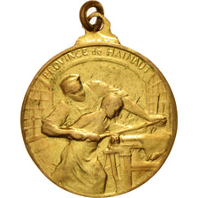 Belgio, Medal, Province de Hainaut, Conseil Provincial, Politics, Society, Wa...