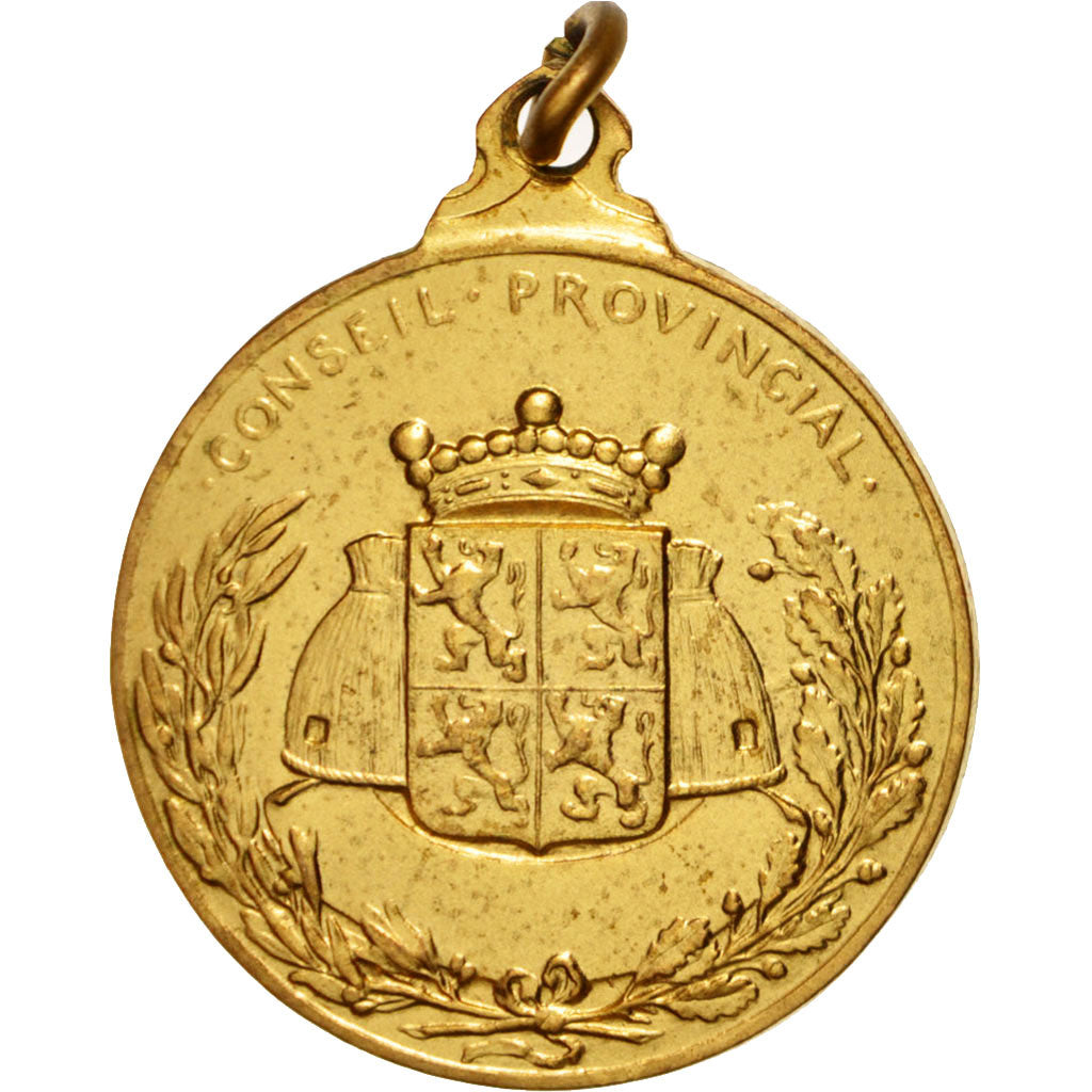 Belgio, Medal, Province de Hainaut, Conseil Provincial, Politics, Society, Wa...