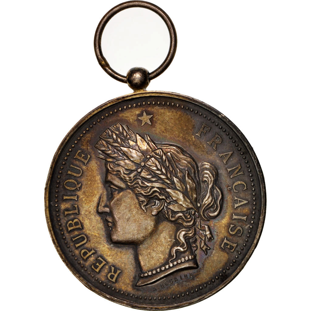 France, Ville de Saint-Omer, Carrousel du 23 juillet 1886, Arts & Culture, Medal