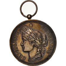 France, Ville de Saint-Omer, Carrousel du 23 juillet 1886, Arts & Culture, Medal