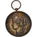 France, Ville de Saint-Omer, Carrousel du 23 juillet 1886, Arts & Culture, Medal
