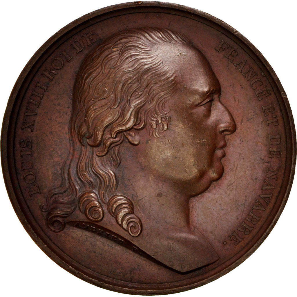 France, Medal, Charte Constitutionnelle, Louis XVIII, History, 1814, Andrieu