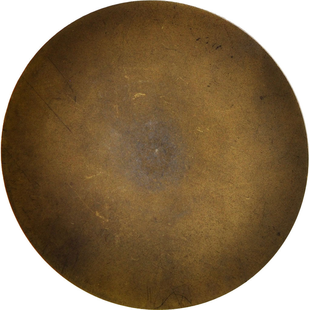 France, Medal, Victor Hugo, Arts & Culture, AU(55-58), Bronze