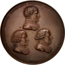 France, Medal, Promulgation du Traité d'Amiens, French Consulate, History