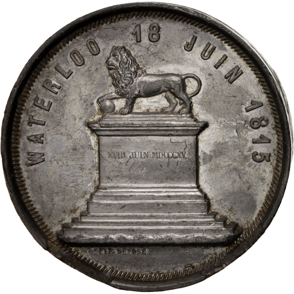 France, Medal, Waterloo, History, 1815, TTB+, Tin
